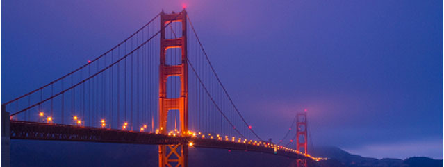 Napa Limousine Luxury